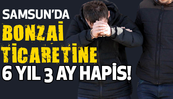 Samsun'da bonzai satışına 6 yıl 3 ay hapis