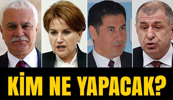 Ülkücüler En Çok Bunları Merak Ediyor!