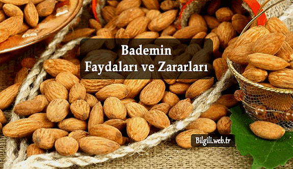 Bademin Faydaları ve Zararları