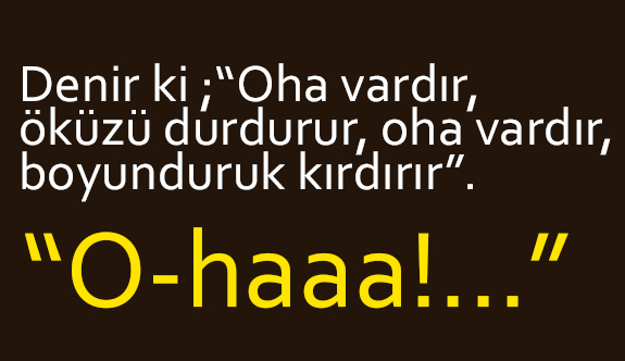 Bizim Evin Dili