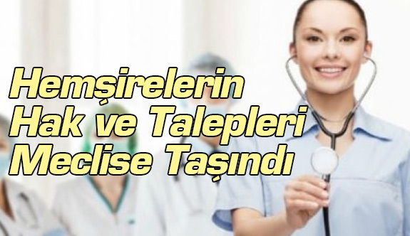 Hemşirelerin Hak ve Talepleri Meclise Taşındı
