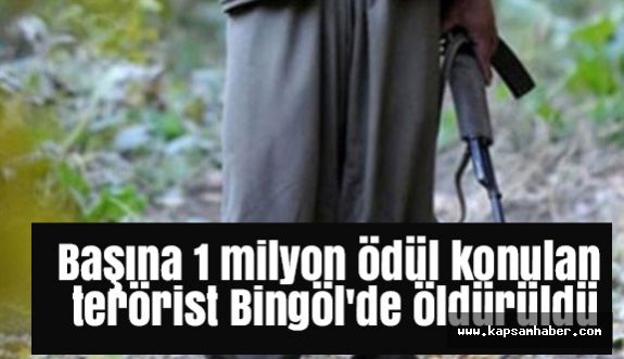 Başına 1 Milyon Ödül Konulan Terörist Öldürüldü