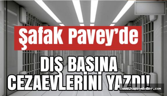 CHP'li Şafak Pavey'de Cezaevi Şartlarını Yazdı