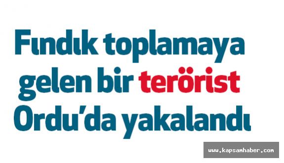 Ordu’da Bir Terörist Yakalandı