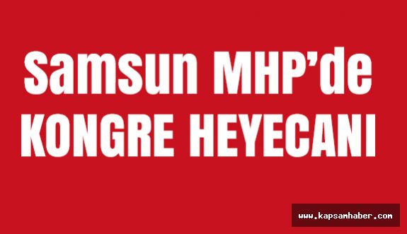 Samsun MHP 12. Olağan Kongresine Usta ve Demirel Katılacak