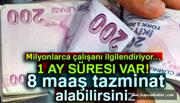 Acele Edin: 8 Maaş Tazminat Alabilirsiniz
