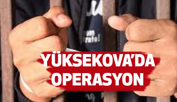 Yüksekova'da Operasyon; 13 kişi gözaltına alındı