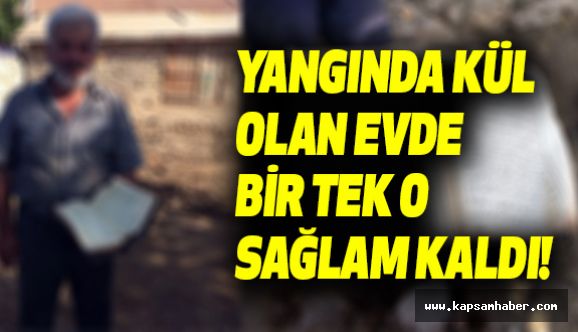 Yangında Kül Olan Evde Tek Sağlam Kalan Oydu!