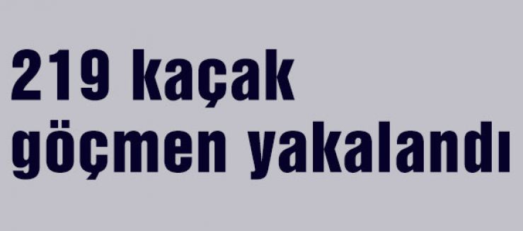 219 kaçak göçmen yakalandı