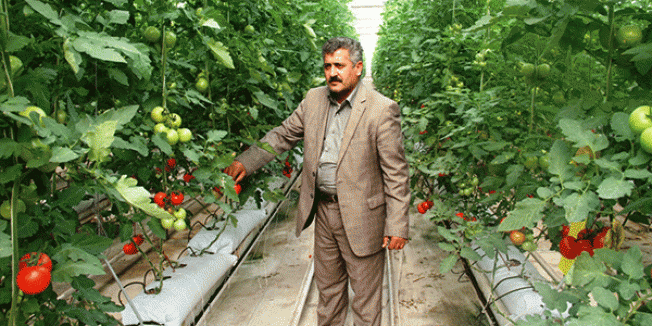 5 milyon sera kapanma noktasında
