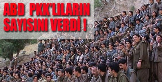 ABD PKK'lıların Sayısını Verdi