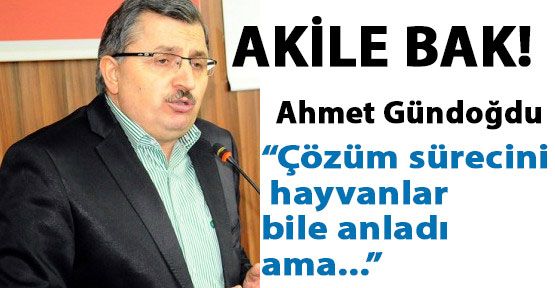Akile Bak: Sürecini Hayvanlar Bile Anlamış