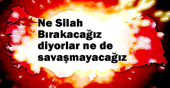 AKP- PKK Macerası