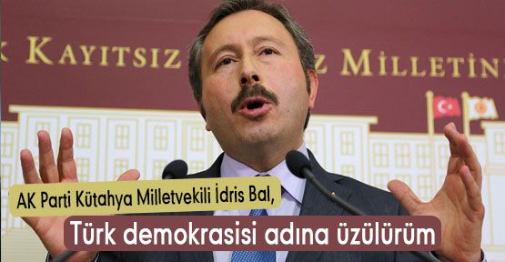 AKP'li Bal: Türk demokrasisi adına üzülürüm