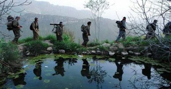 AKP'li Vekil:'Hasta ve Yaşlı PKK'lılar Çekiliyor'