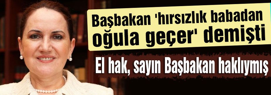 Akşener: 'hırsızlık babadan oğula geçer“