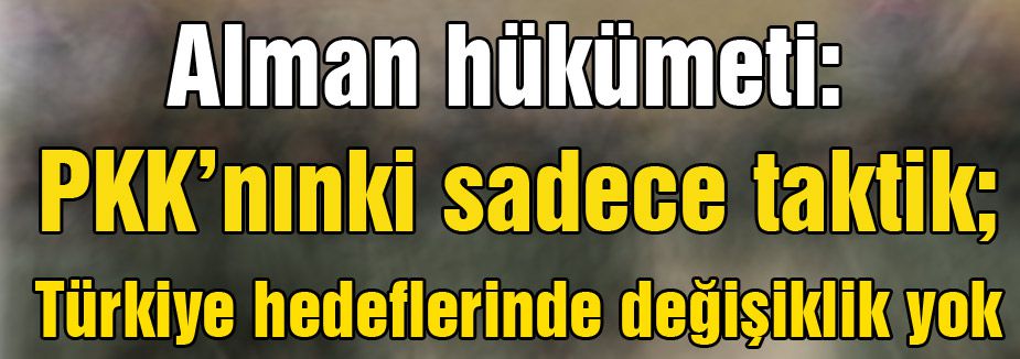 Almanya: 'PKK’nınki sadece taktik...'