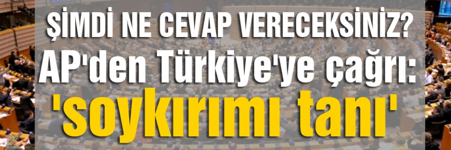 AP'den Türkiye'ye çağrı: 'soykırımı tanı'