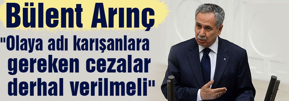 Arınç: Derhal gerekli cezalar verilmeli