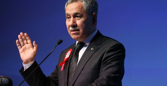 Arınç:'Bu Konuları Başbakan'a Sorun...