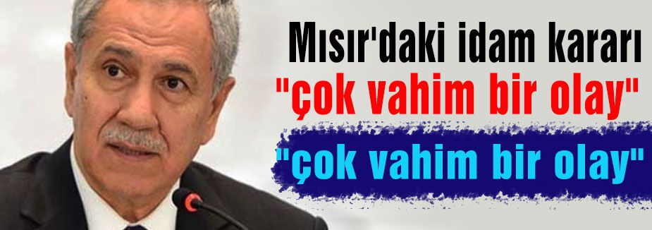 Arınç, İdam Kararlarına Tepki gösterdi
