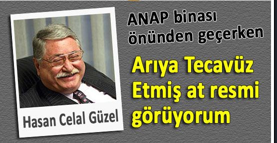 At Davası...