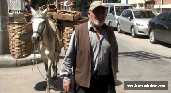 At sırtında ki doğallık...