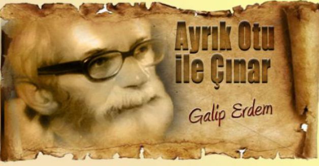 Ayrık Otu ile Çınarın hikayesi