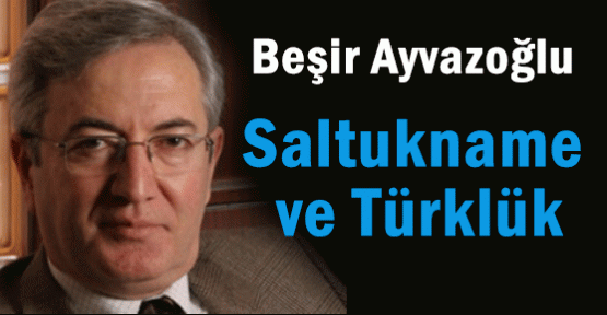 Ayvazoğlu, Saltukname ve Türklük
