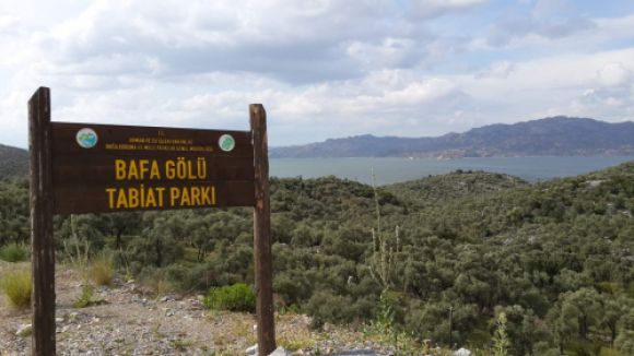 Bafra Gölü yanına RES izni verdi