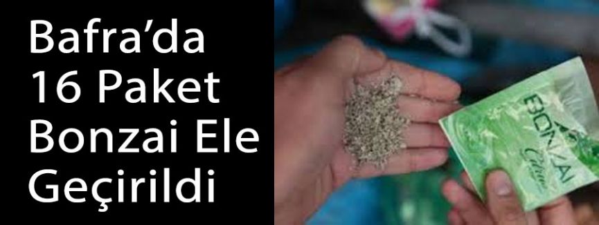 Bafra'da Bonzai Ele Geçirildi