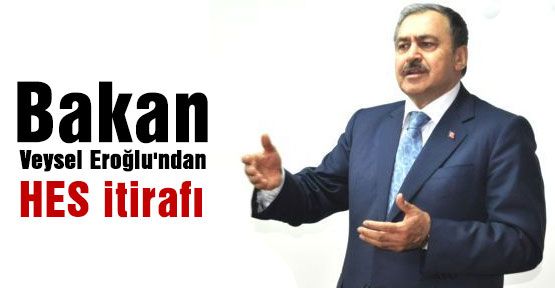 Bakan Eroğlu: !HES'lerde hata yaptık