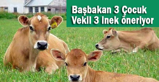 Başbakan 3 Çocuk Öneriyor Milletvekili Üç İnek