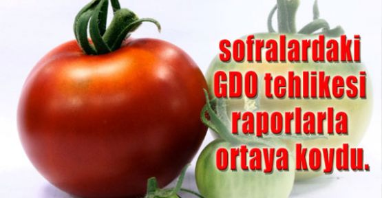 Bazı Ürenlerde GDO Tesbit Edildi