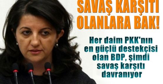 BDP, Şimdi Savaş Karşıtı Davranıyor