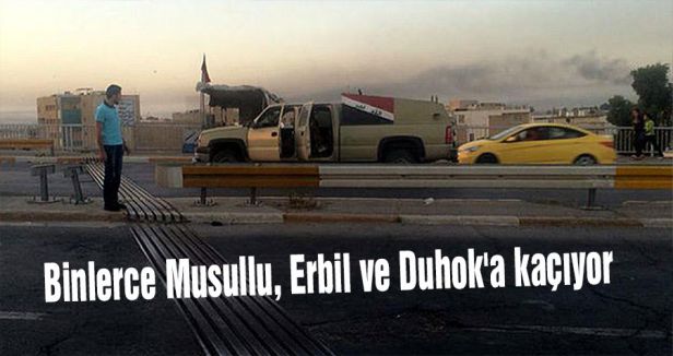 Binlerce Musullu, Erbil ve Duhok'a kaçıyor
