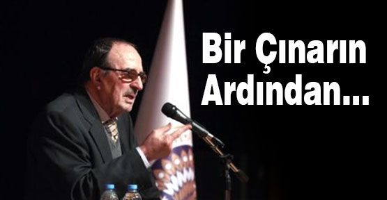 Bir Çınarın Ardından…