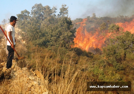 Bodrum’da korkutan yangın