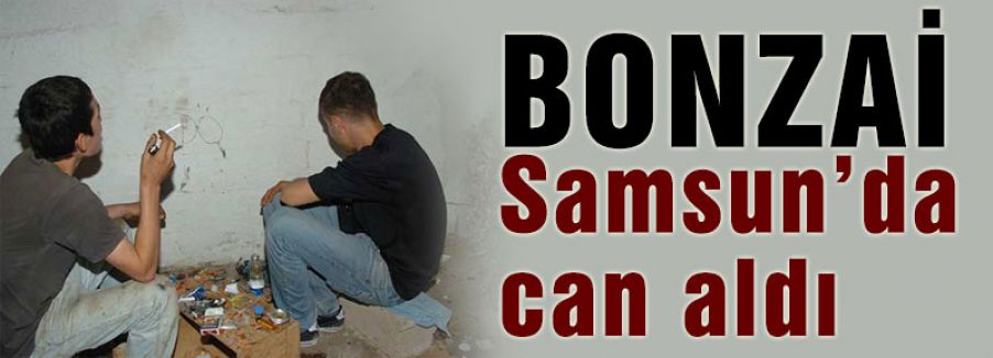 Bonzai can almaya devam ediyor
