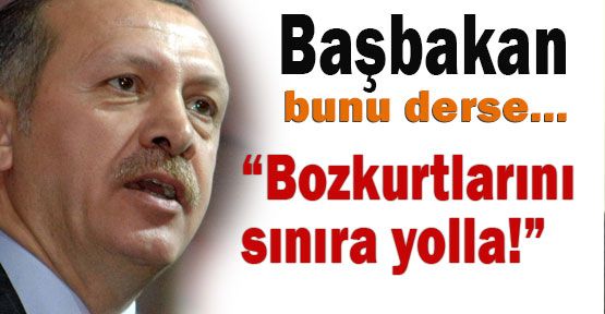 Bozkurtlarını Sınıra Gönder