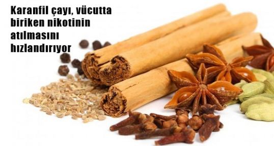 Bu Çay Nikotinin Atılmasını Hızlandırıyor