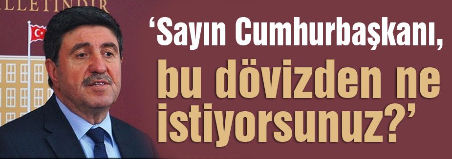 Bu dövizden ne istiyorsunuz?