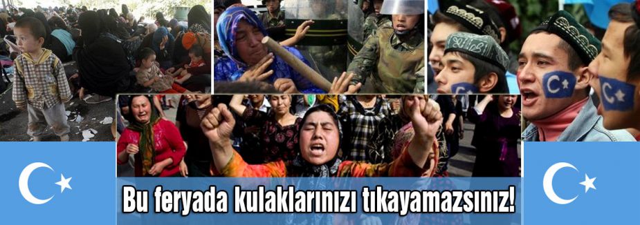 Bu feryada kulaklarınızı tıkayamazsınız!