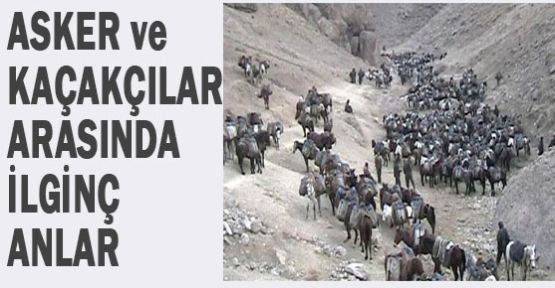 Bu ne perhiz bu ne lahana turşusu!