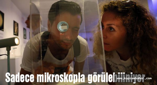 Bu sergideki eserler sadece mikroskopla görülebiliniyor