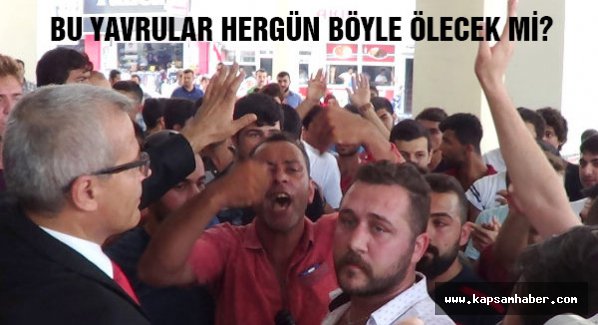 Bu yavrular her gün böyle ölecek mi?