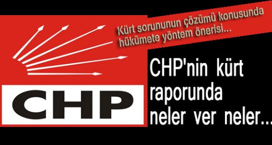 Buda CHP'nin Kürt Raporu