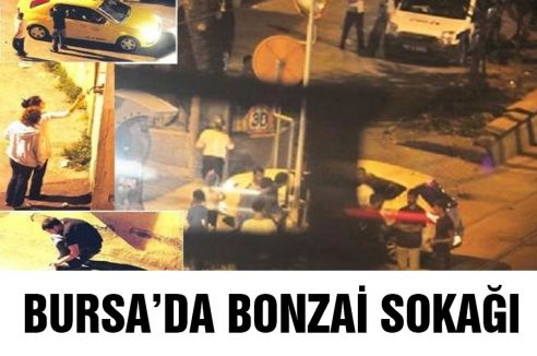 Bursa'da bonzai sokağı