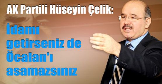 Çelik. 'İdamı Getirseniz de Öcalan'ı Asamazsınız'