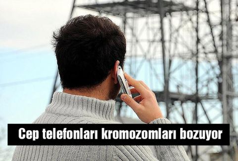 Cep telefonları kromozomları bozuyor